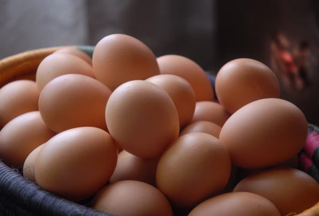Alimentos - Huevo Fresco